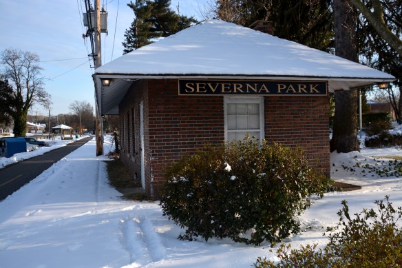 Lin and Michael's Photos