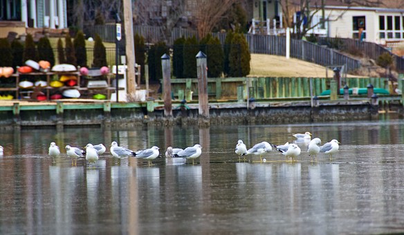 Lin and Michael's Photos