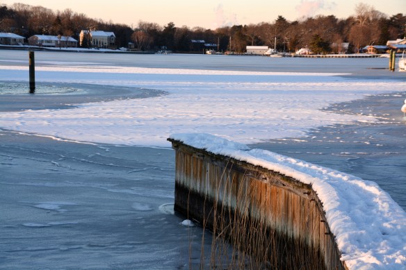 Lin and Michael's Photos