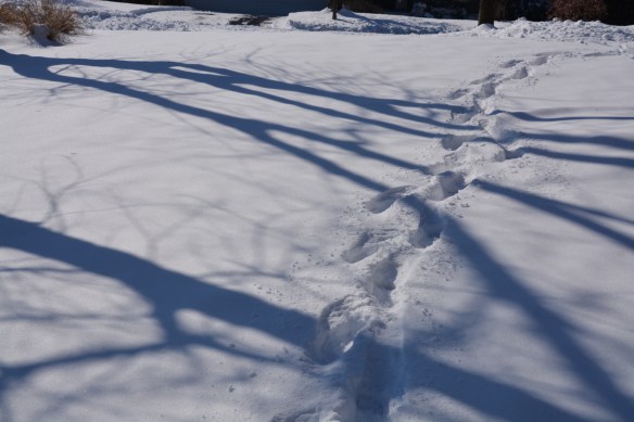 Lin and Michael's Photos