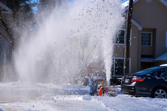 Lin and Michael's Photos