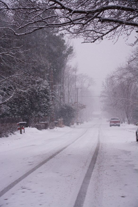 Lin and Michael's Photos