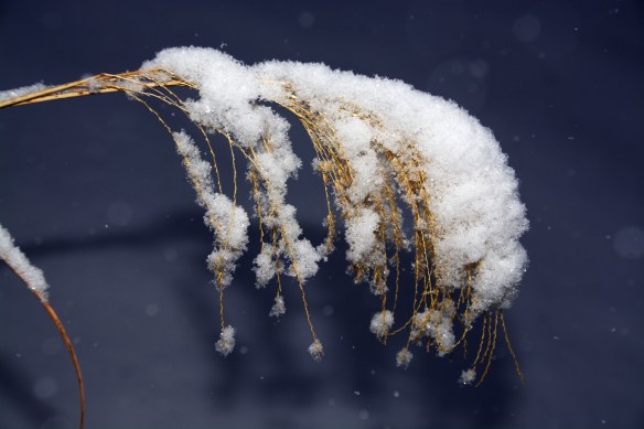 Lin and Michael's Photos