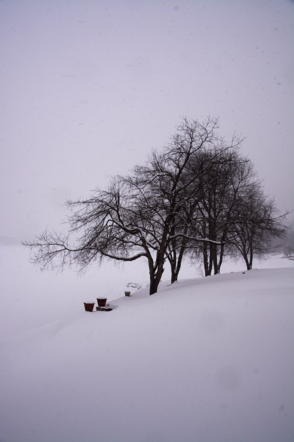 Lin and Michael's Photos