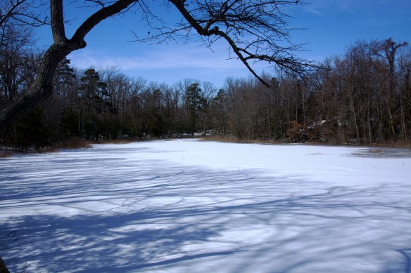 Lin and Michael's Photos