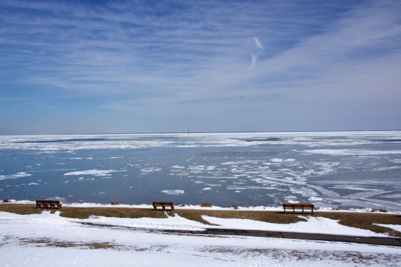 Downs Park in winter