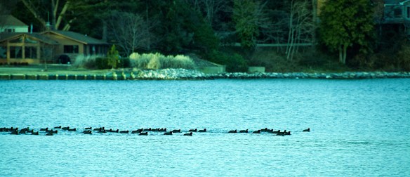 Lin and Michael's Photos