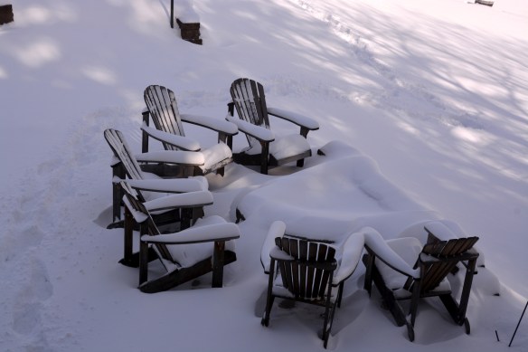 Lin and Michael's Photos