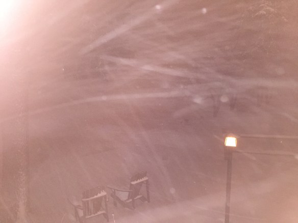 Lin and Michael's Photos