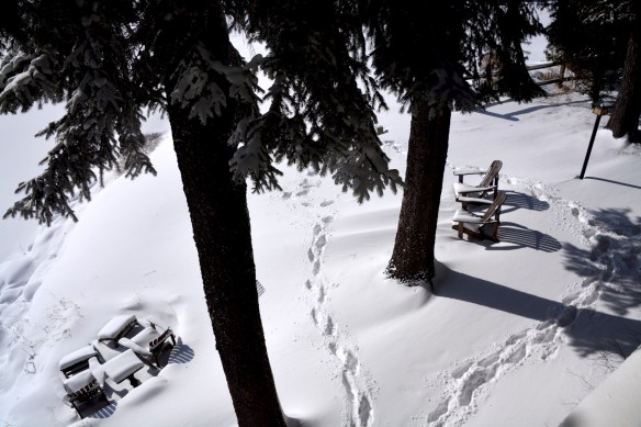 Lin and Michael's Photos