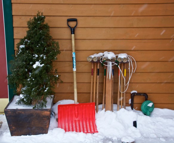 Lin and Michaels Photos