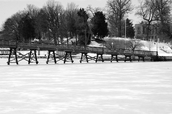 Lin and Michael's Photos