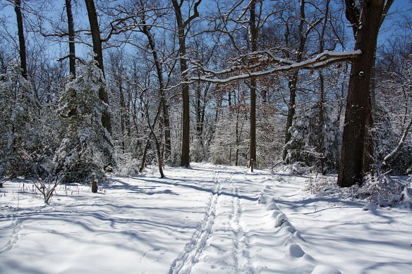 Lin and Michael's Photos