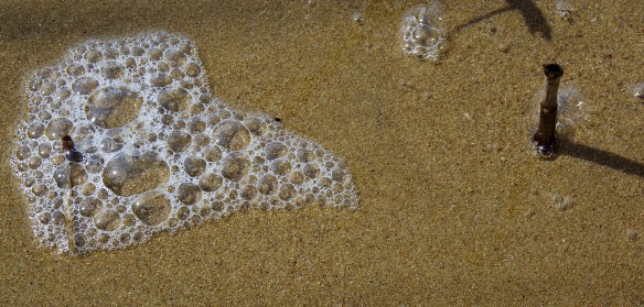 Lin and Michaels Photos