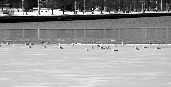 Lin and Michael's Photos