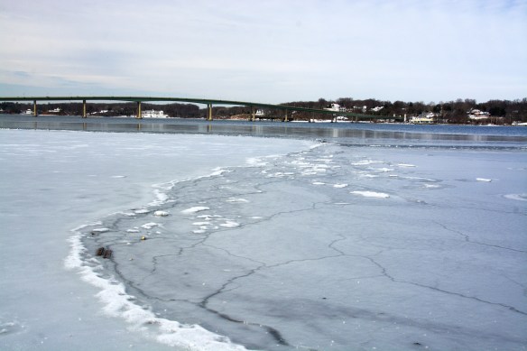 Lin and Michael's Photos