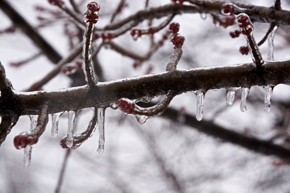 Lin and Michael's Photos