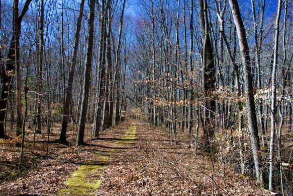 Lin and Michael's Photos