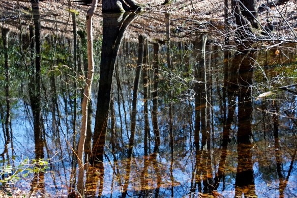 Lin and Michael's Photos