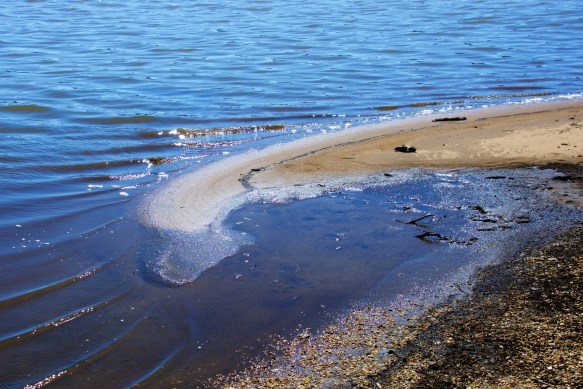 Lin and Michael's Photos