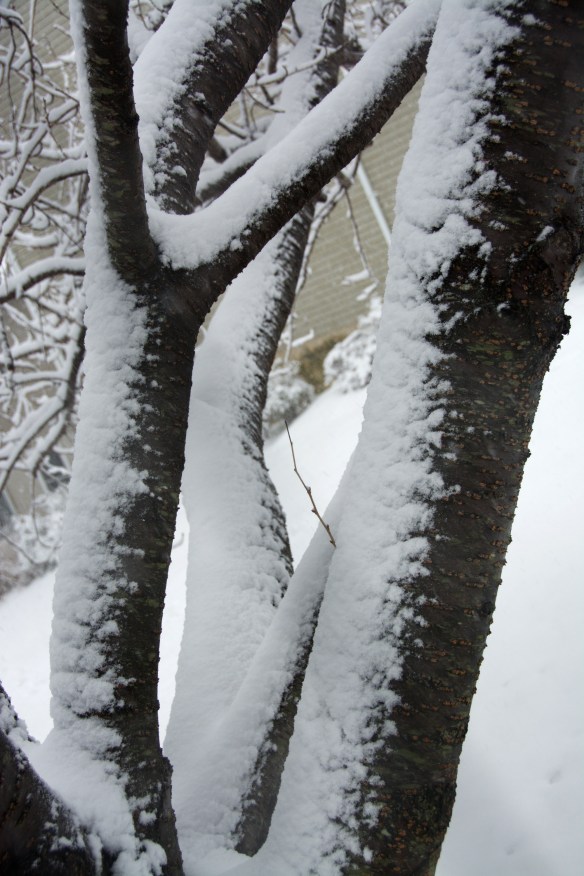 Lin and Michael's Photos