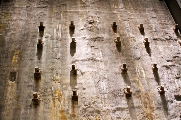 Lin and Michael's Photos