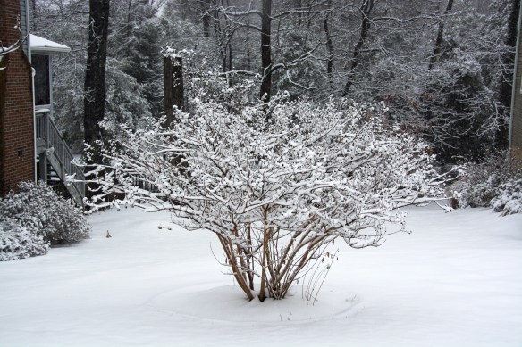 Lin and Michael's Photos