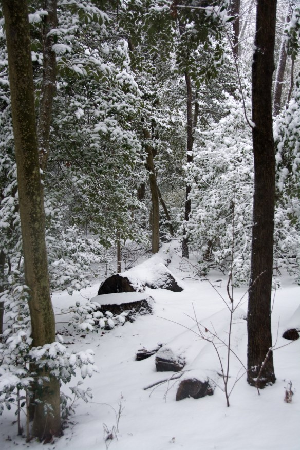 Lin and Michael's Photos