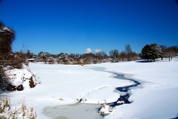 Lin andMichael's Photos