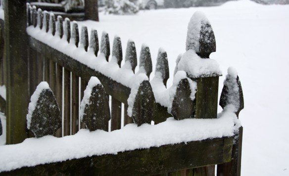 Lin and Michael's Photos 