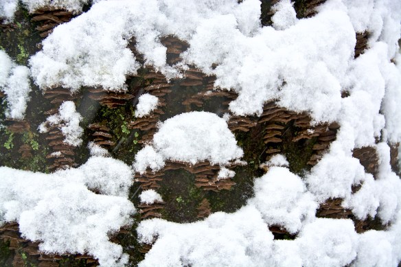 Lin and Michael's Photos