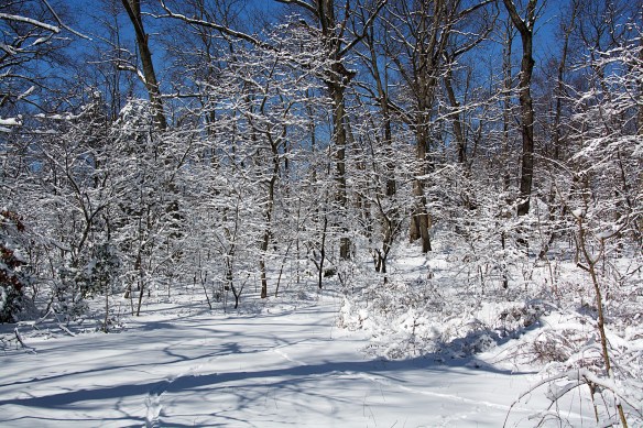 Lin and Michael's Photos