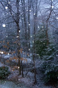 Lin and Michael's Photos