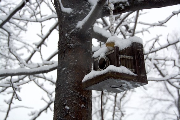 Lin and Michael's Photos