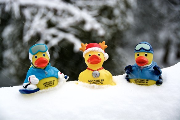 Lin and Michael's Photos