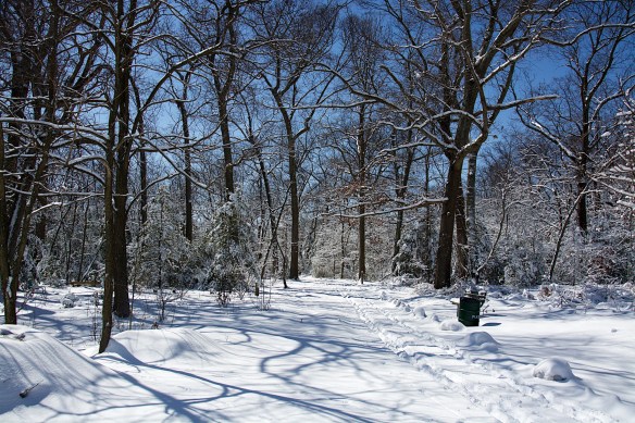 Lin and Michael's Photos