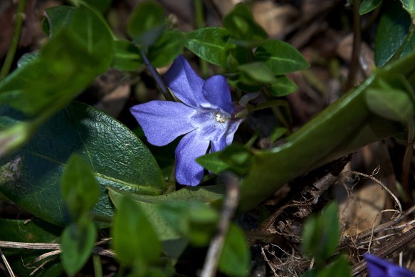 Lin and Michael's Photos