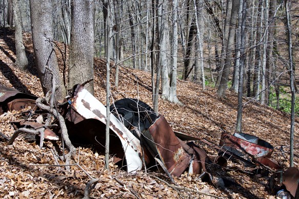 Lin and Michael's Photos