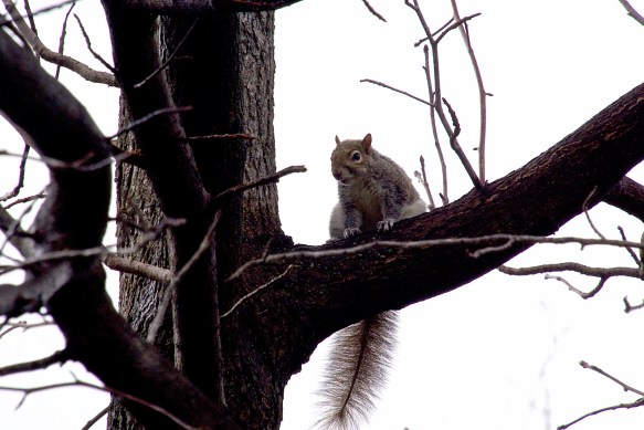 Lin and Michael's Photo