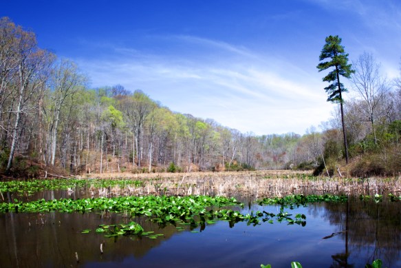 Lin and Michael's Photos