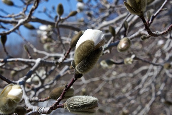 Lin and  Michael's Photos