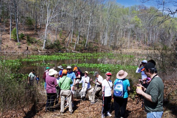 Lin and Michael's Photos