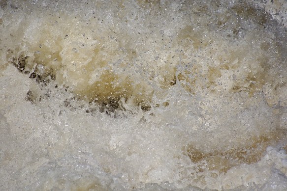 Lin and Michael's Photos