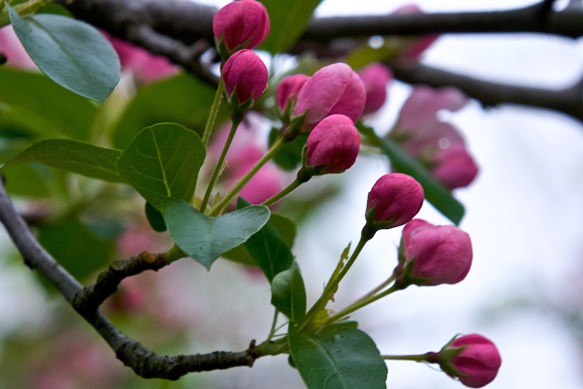 Lin and Michael's Photos