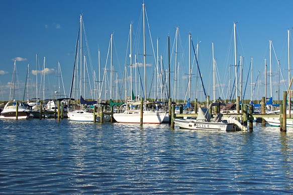 Lin and Michael's Photos