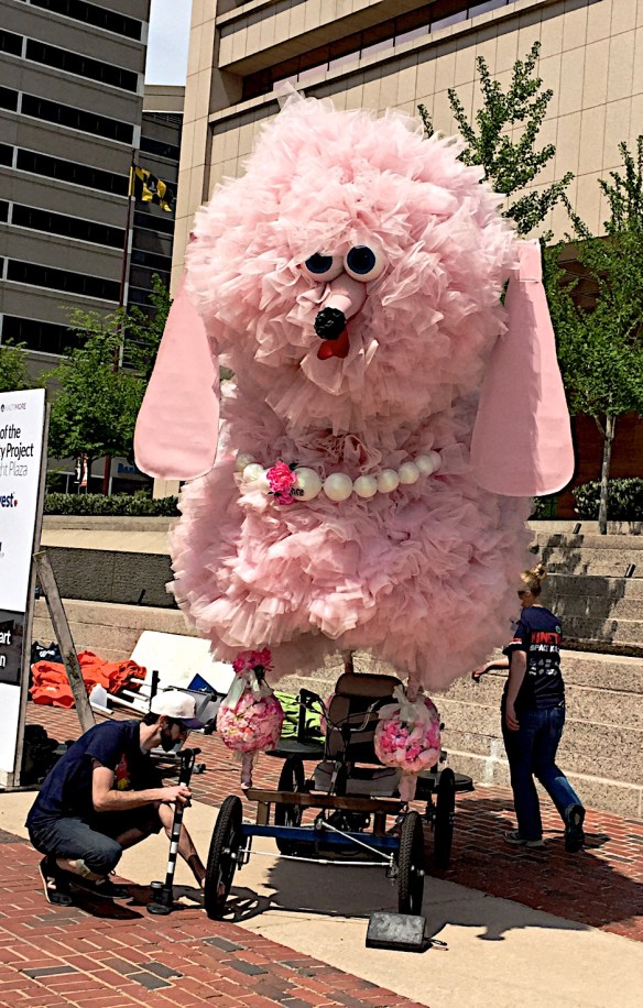 Lin and Michael's Photos