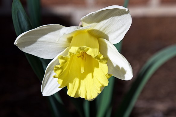 Lin and Michael's Photos