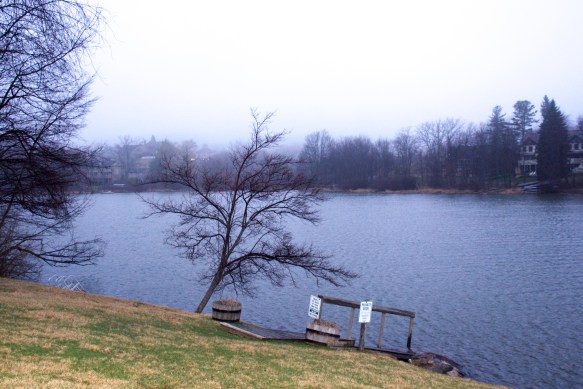 Lin and Michael's Photos