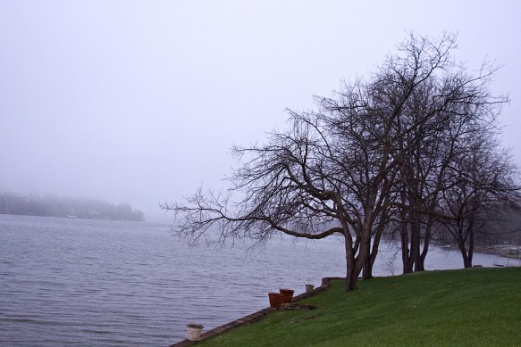 Lin and Michael's Photos