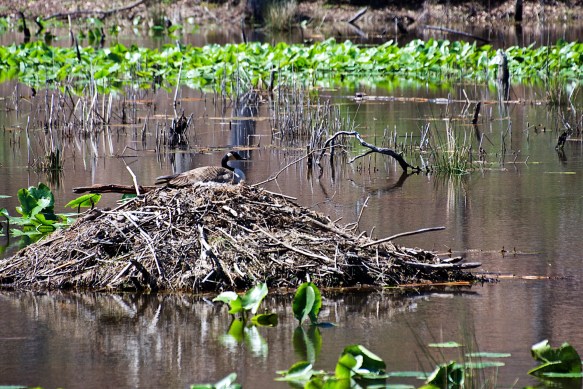 Lin and Michael's Photos